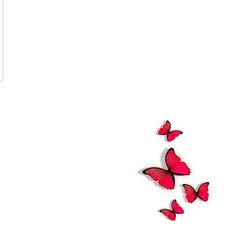 three red butterflies flying in the air on a white background with space for your text