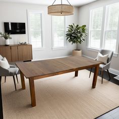 a dining room table with two chairs and a plant in the corner next to it