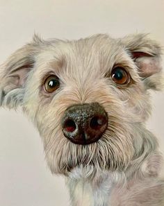 a painting of a white dog with brown eyes