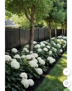 white flowers line the side of a fence in front of a tree and grass area