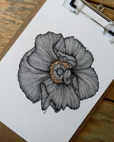 a black and white drawing of a flower on a piece of paper next to a pen