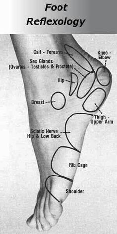 Bolesti Chrbta, Reflexology Chart, Reflexology Massage, Foot Reflexology, Trening Fitness, Sciatic Nerve, روتين العناية بالبشرة, Foot Massage, Pressure Points