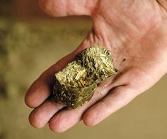 a hand holding a piece of gold leaf in it's left palm, with dirt on the ground