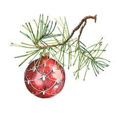 an ornament hanging from a pine tree branch with needles on it stock photo