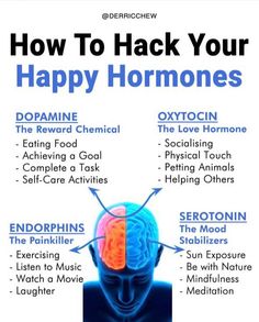 Brain Facts, Happy Hormones, Business Motivational Quotes, Hormone Health, Health Info