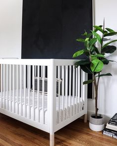 a white crib next to a potted plant in front of a black wall