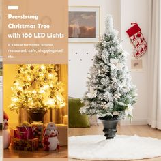 a christmas tree with 100 led lights in a living room next to a small teddy bear