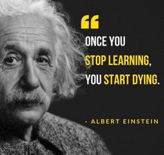 albert einstein quote about learning to learn how to start doing something and not do anything