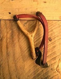 an animal's head mounted to the side of a wooden wall with leather straps