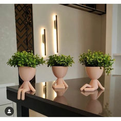 three potted plants sitting on top of a table next to each other in front of a mirror