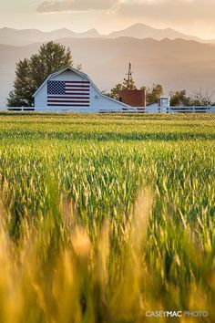 an american flag on the side of a barn in a field with mountains in the background