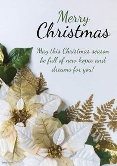 a christmas card with gold and white poinsettis on it's side