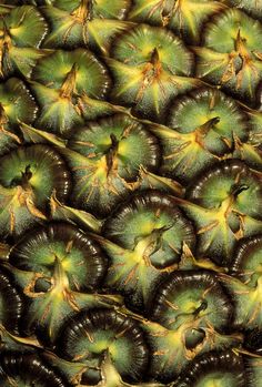 many kiwis are stacked on top of each other with yellow and green leaves