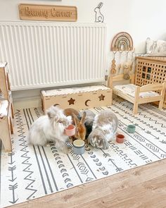 two small dogs eating food from bowls on the floor