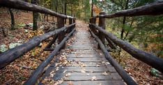 a wooden bridge in the woods with leaves on it