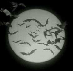 bats flying in the night sky over a full moon with white light and black background