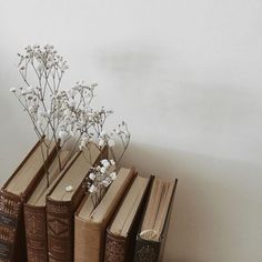 four books are stacked on top of each other with flowers growing out of one book