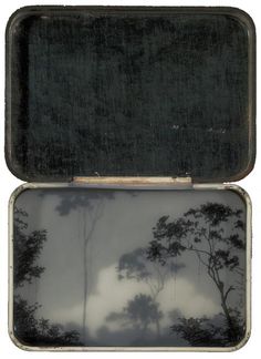 an open suitcase with trees and clouds in it