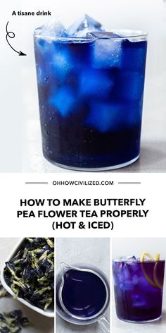 how to make butterfly pea flower tea properly hot and iced