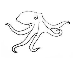 an octopus drawing on a white background