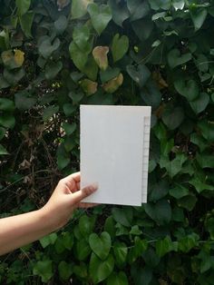 a hand holding an open notebook in front of green leaves