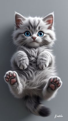 a white kitten with blue eyes sitting on its hind legs