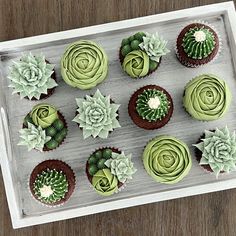 cupcakes decorated with green frosting and succulents on a tray