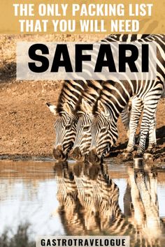 the only packing list that you will need is in safari, where zebras are drinking water