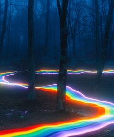 a rainbow colored path in the woods at night