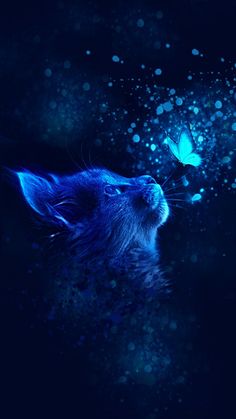 a blue cat looking at a butterfly in the night sky with bubbles on it's wings