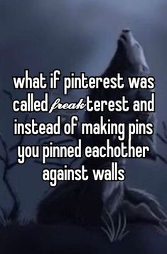 a wolf sitting on top of a hill with the words what if pinterest was called