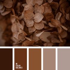 the color scheme is brown and tan with some leaves on it, including one that looks like