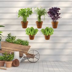 a wheelbarrow filled with potted plants next to a white wall and wooden planters