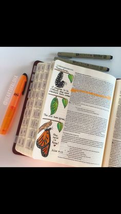 an open book sitting on top of a table next to a pen and marker with butterflies