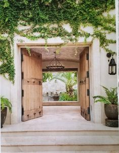 an open door with vines growing on the wall and potted plants in front of it