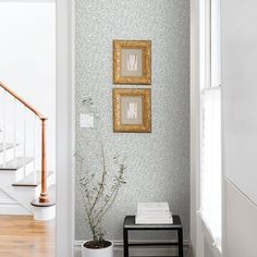 two framed pictures hang on the wall above a plant in a white vase next to a black table