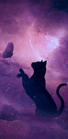 a black cat sitting on its hind legs in the sky with a butterfly flying by