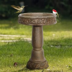 two birds sitting on top of a bird bath in the grass