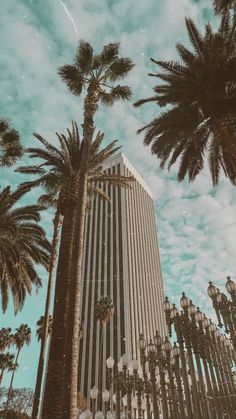 palm trees in front of a tall building under a cloudy blue sky with white clouds