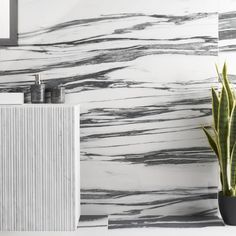 a white and black marble bathroom with a cactus in the corner next to the sink