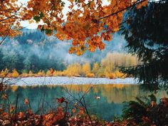 a lake surrounded by trees with yellow leaves in the foreground and mountains in the background