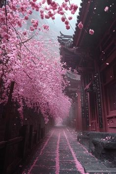 Cherry Blossom Japan Aesthetic, Japanese Cherry Blossom Trees, Japan Aesthetic Cherry Blossoms, Flowers On Buildings, Cherry Blossom Season Japan, Spring Park Aesthetic, Japan Spring Aesthetic, Japan Cherry Blossom Aesthetic, Japan Astetic