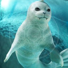 an image of a seal in the water with bubbles around it's face and eyes