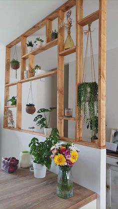 a wooden shelf filled with potted plants on top of a counter next to a window