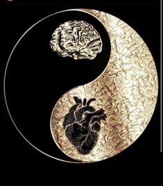 a yin - yang symbol with a human heart in the center and brain on it