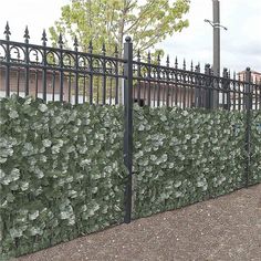 there is a fence that has flowers growing on it