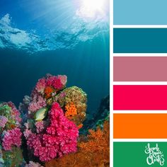 an underwater scene with colorful corals and seaweed