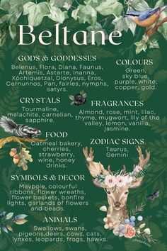 Represents spring at its peak, anticipation of the upcoming summer, fertility, energy, reproduction, passion, pleasure and joy. #beltane #pagan #wicca #witch #wheeloftheyear #beltaneblessings #witchcraft #nature #magic #bealtaine #goddess #witchyvibes #greenwitch #witchywoman #fairyday #walpurgisnight #mayday #beltanefirefestival Celtic Paganism, Zodiac Signs Colors, Nature Magic, Pagan Festivals