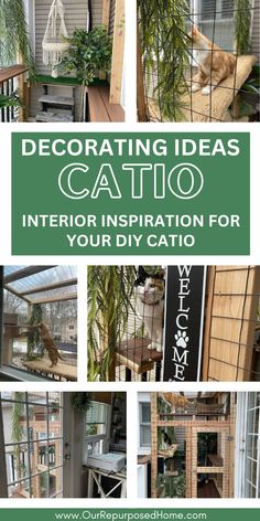 pics of catios Plants For A Catio, Catio Ideas Cat, Cattery Ideas, Pet Rooms, Cat Rooms, Cat Breeding, Catio Ideas, Cat Paradise, Cat Life Hacks