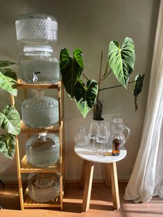 there is a potted plant next to a shelf with glasses and plates on it